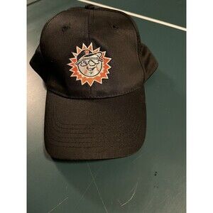 NEW Hagerstown Suns Minor League Baseball SnapBack Hat MILB Orioles Nationals